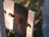 DSCN0833a.jpg (191377 bytes)