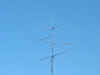 Dsc00160a.jpg (113676 bytes)