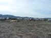 Murphypits3.jpg (81572 bytes)