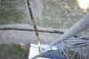 air shot1a.jpg (42454 bytes)