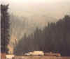 fire7.jpg (18442 bytes)