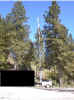 r0100294a.jpg (196557 bytes)