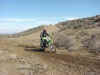 racers4.jpg (120468 bytes)