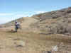racers5.jpg (120505 bytes)
