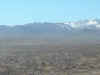 start line up.jpg (79121 bytes)